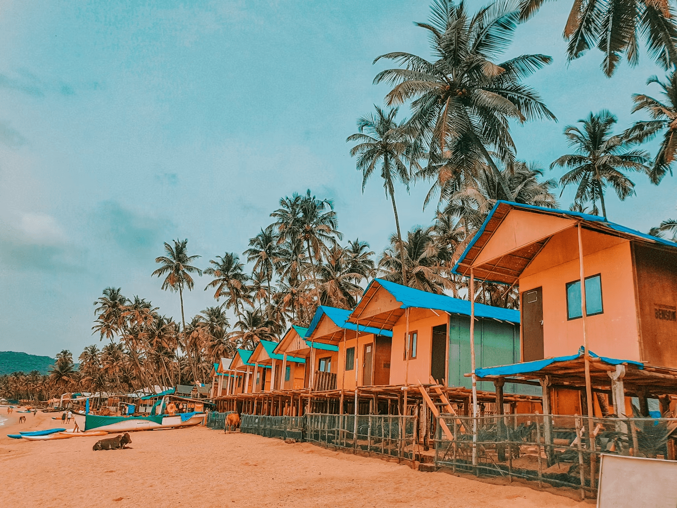 Goa Coastal Retreat Tour